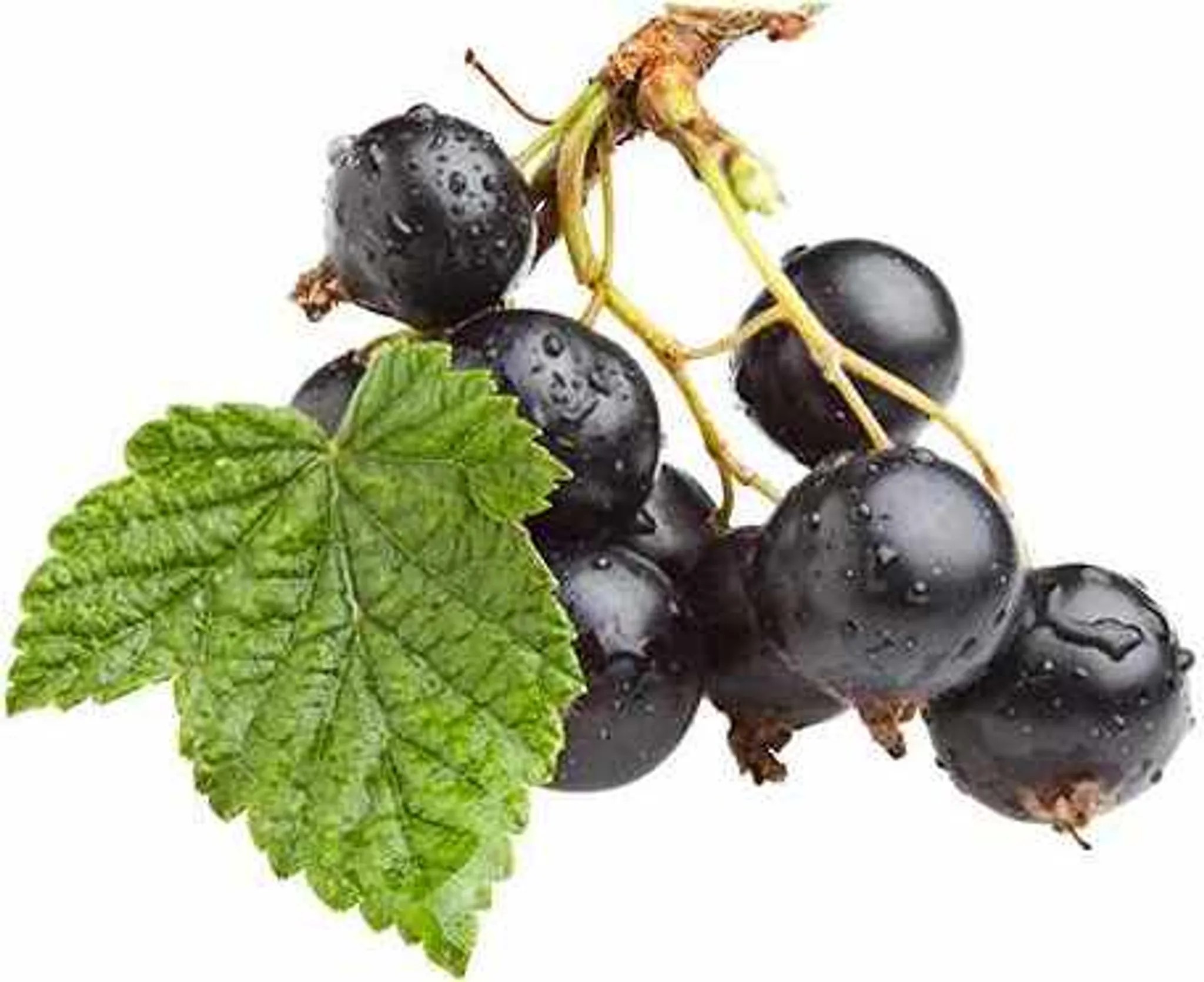 138e7149321e5b1867b837a15c1dc2ca